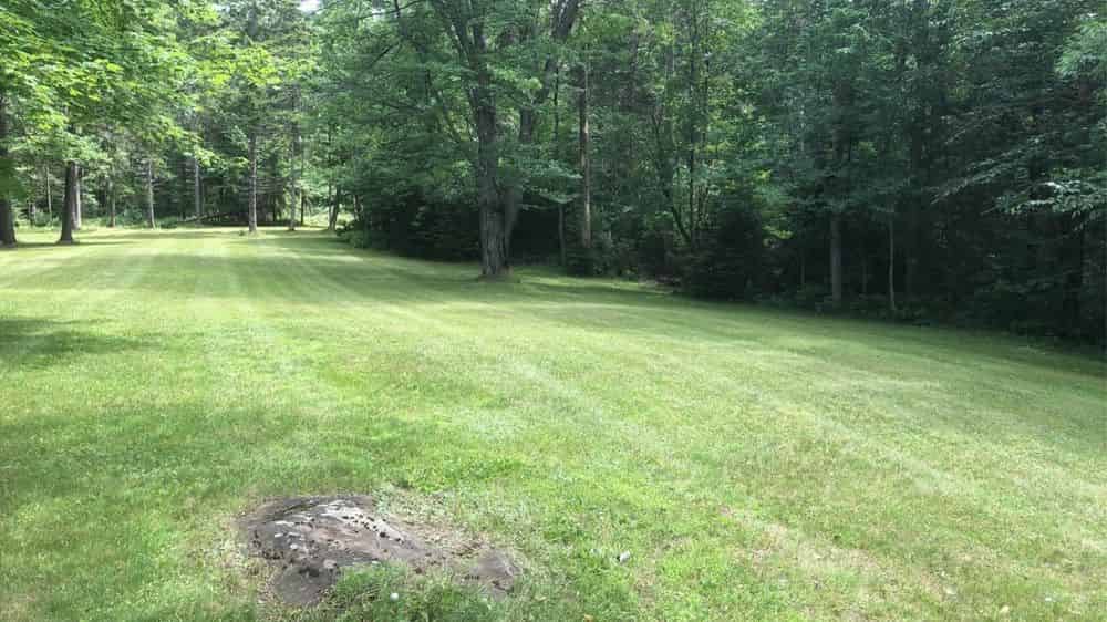 Garden Mulching image