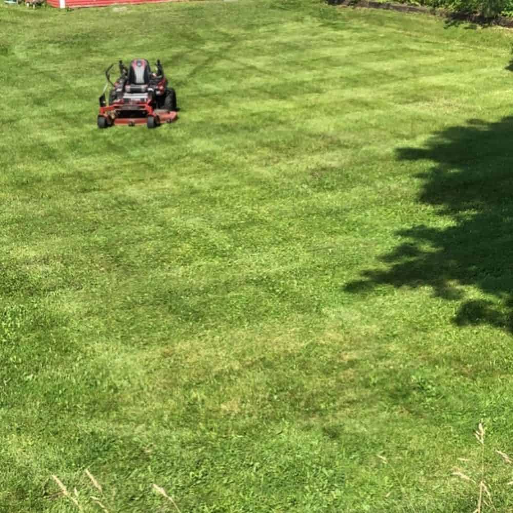 Lawn Maintenance Services image