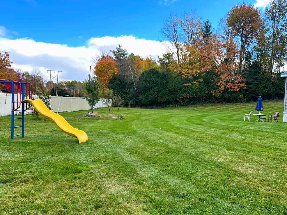 Spring/Fall Cleanups image