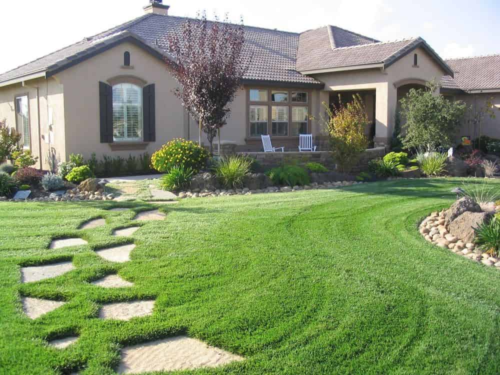 Tree and Shrub Trimming image