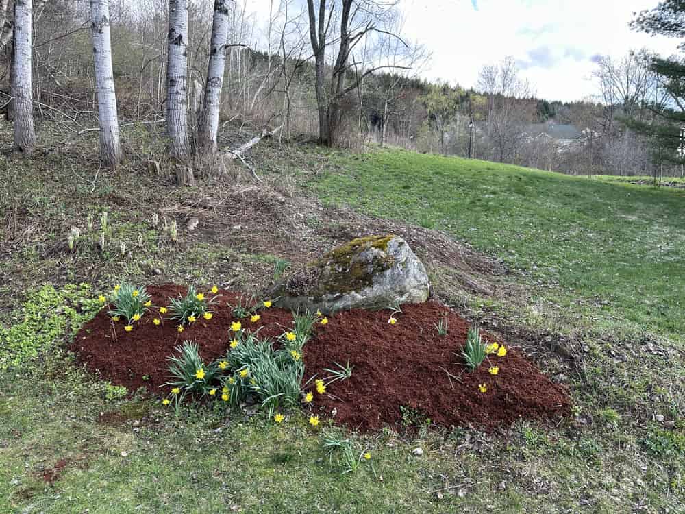 Mulch Installation image