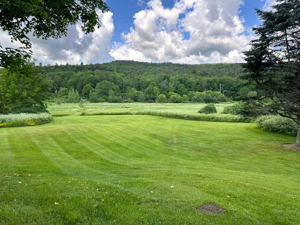 Hero image for Eagle Lawn Maintenance and Management
