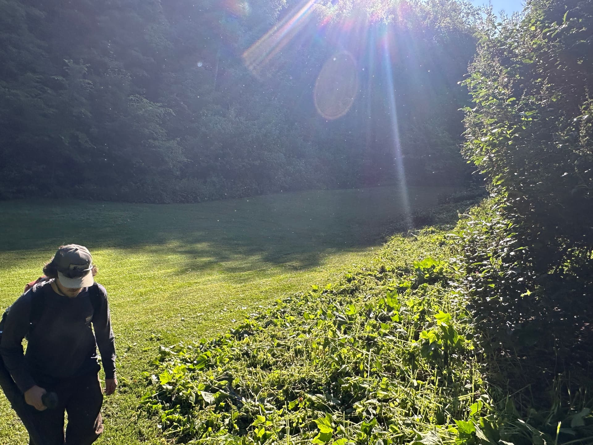 Challenging Hillside Cleanup for a Pristine Look image