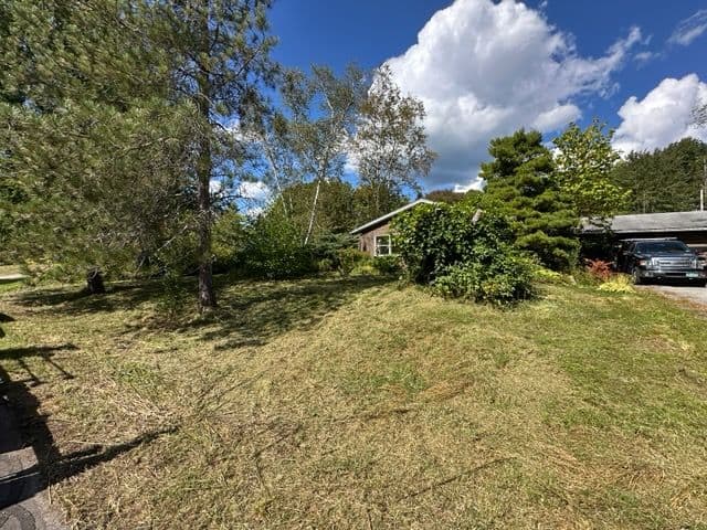 Transforming Overgrown Yards into Pristine Landscapes image