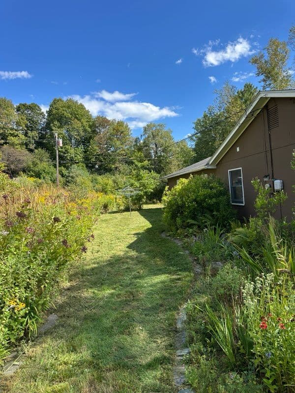Gallery photos for Transforming Overgrown Yards into Pristine Landscapes: Image #1