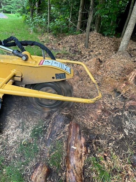 Stump Grinding and Lawn Maintenance