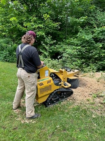 Gallery photos for Stump Grinding and Lawn Maintenance: Image #1