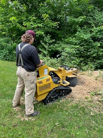 Stump Grinding and Lawn Maintenance