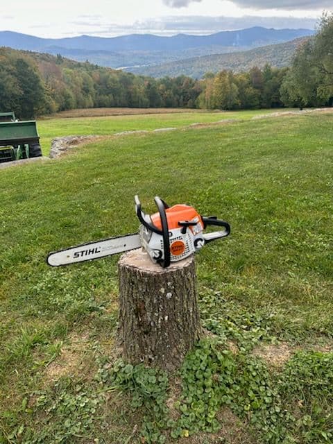 Stump Grinding and Lawn Maintenance