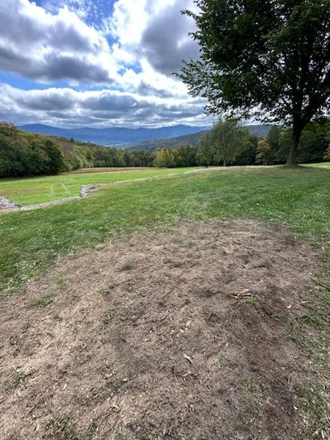 Gallery photos for Stump Grinding and Lawn Maintenance: Image #3