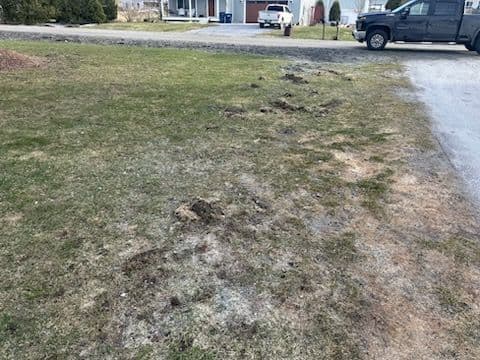 Lawn Restoration and Gravel Removal