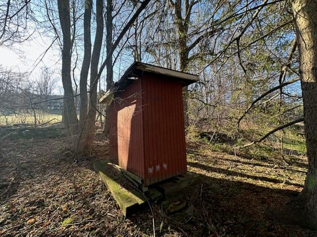 Shed Removal and Brush Clearing