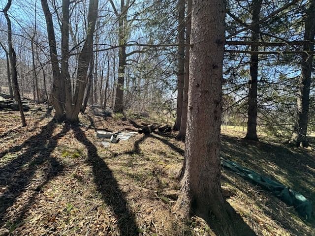 Gallery photos for Shed Removal and Brush Clearing: Image #2