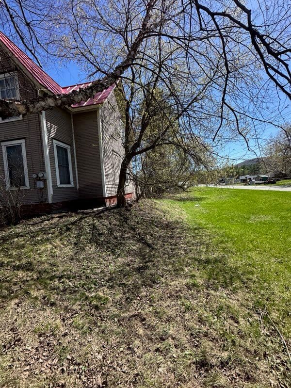 Transform Your Lawn with Expert Spring Cleanup