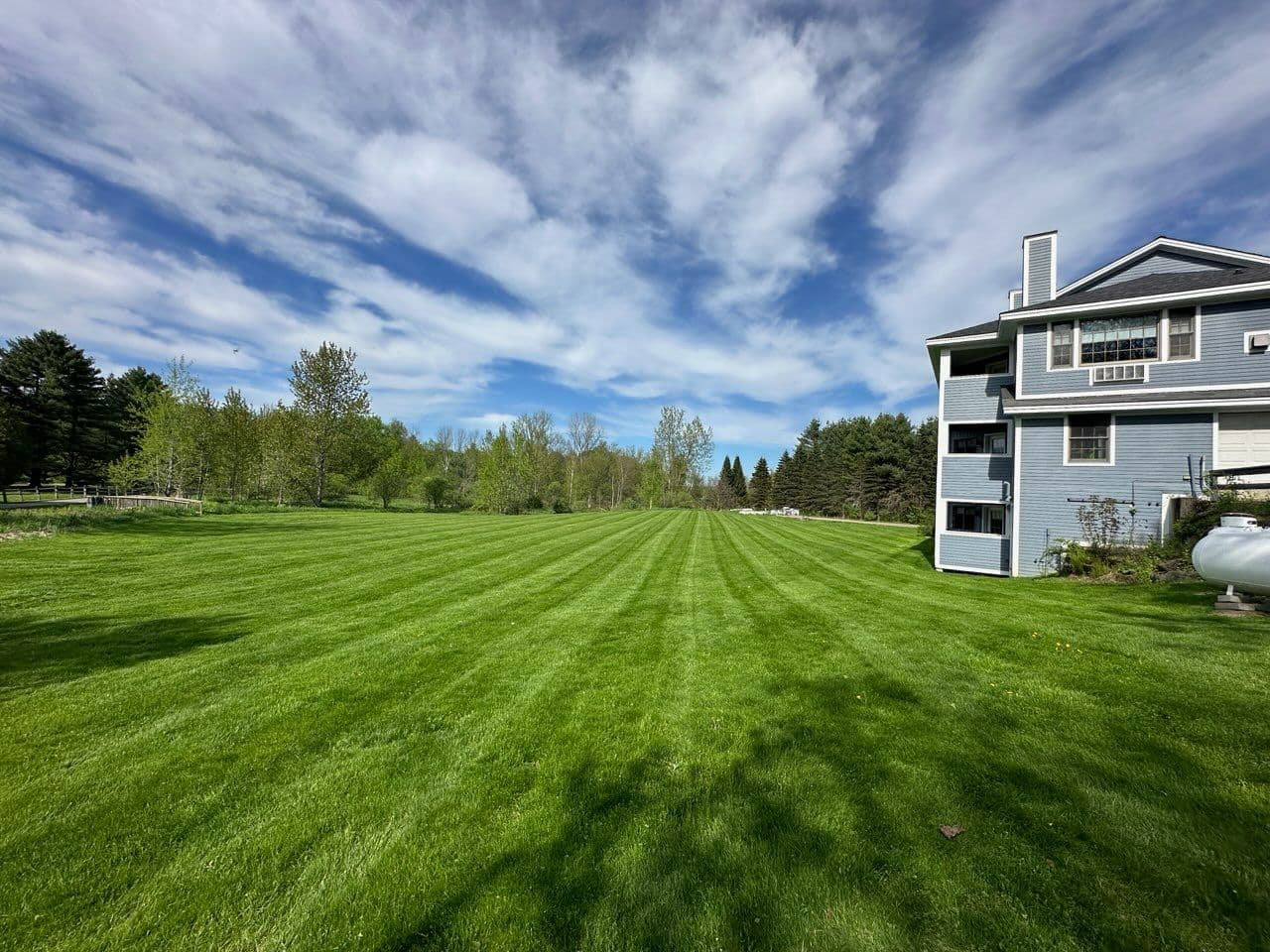 Gallery photos for Effortless Lawn Care Even in the Rain: Image #2