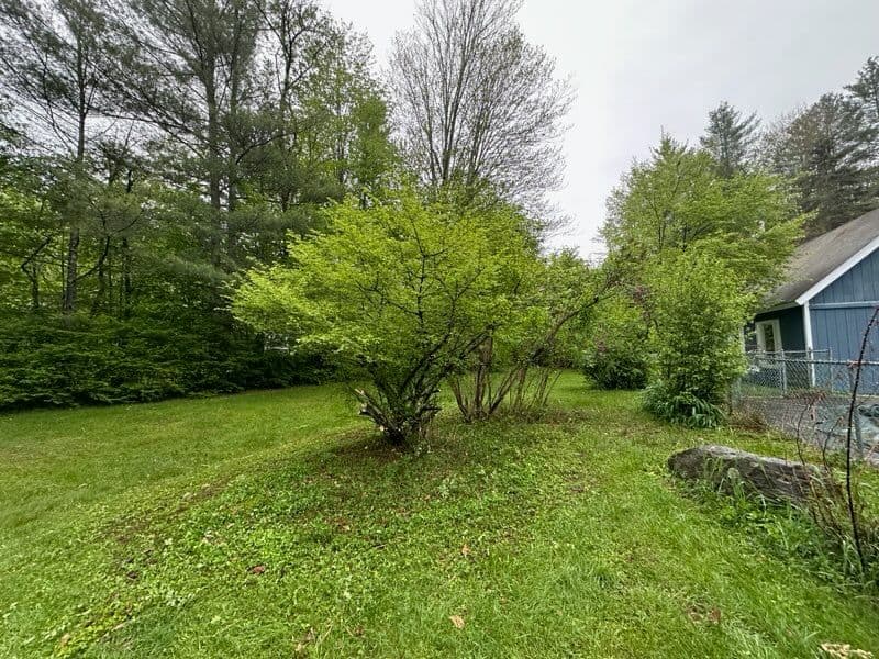 Gallery photos for Lush Lawn Transformation by Eagle Lawn Maintenance: Image #2