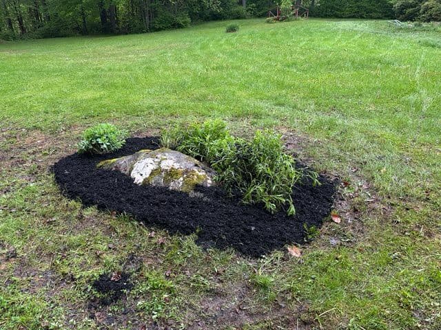Gallery photos for Lush Lawn Transformation by Eagle Lawn Maintenance: Image #3