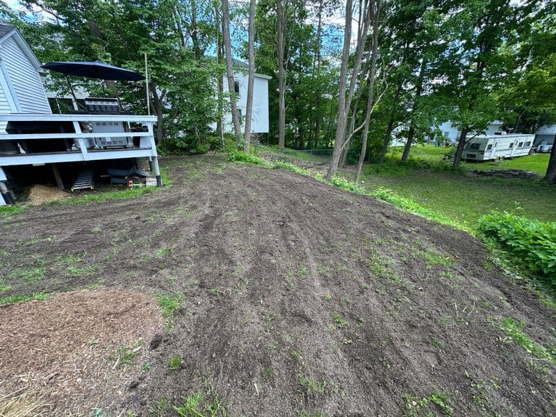 Gallery photos for Revitalized Elm Street Lawn Transformation: Image #2