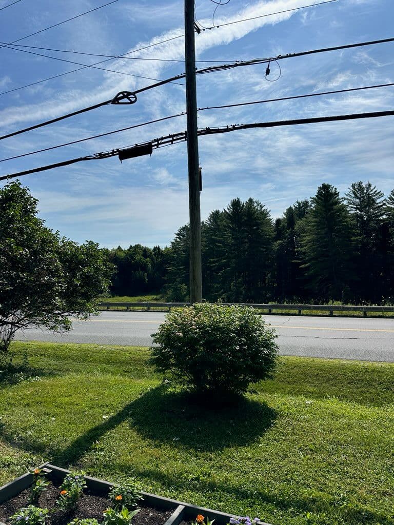Tree and Bush Trimming for a Polished Lawn image