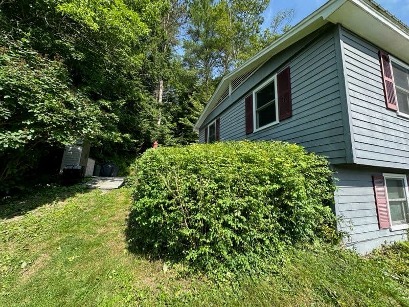 Gallery photos for Tree and Bush Trimming for a Polished Lawn: Image #2