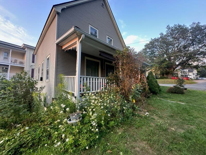 Revitalize Your Curb Appeal with Expert Trimming
