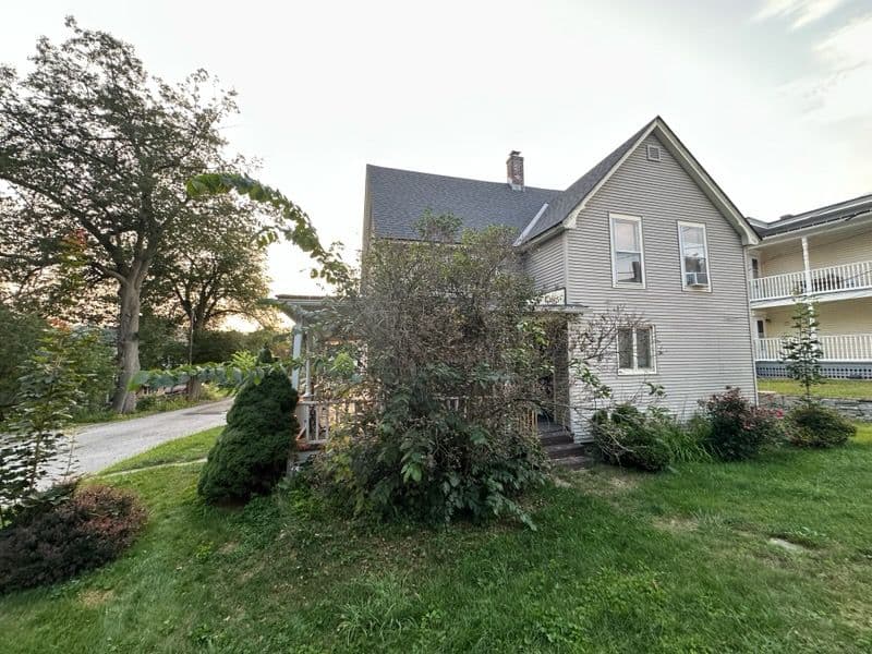 Revitalize Your Curb Appeal with Expert Trimming