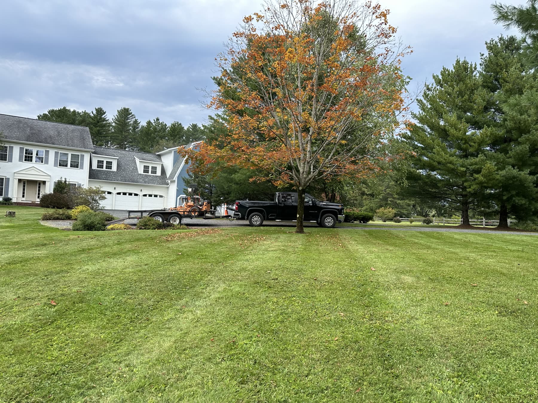 Lawn in autumn