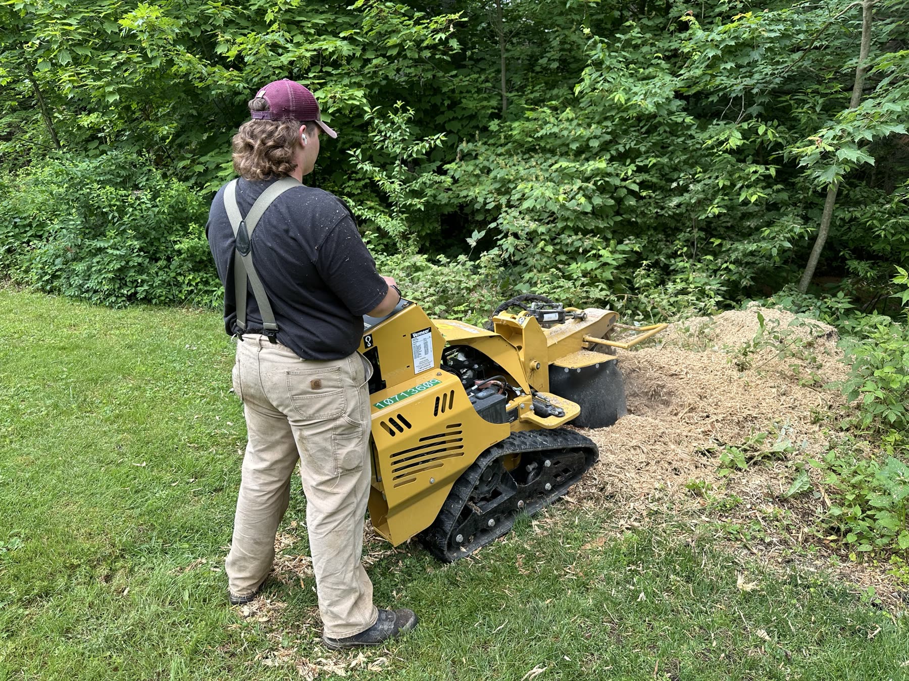 Stump grinder at work